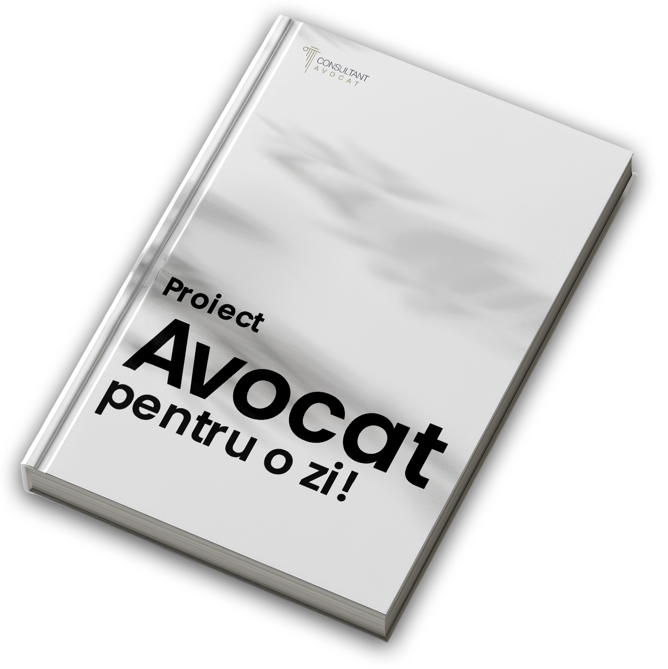 Avocat pentru o zi